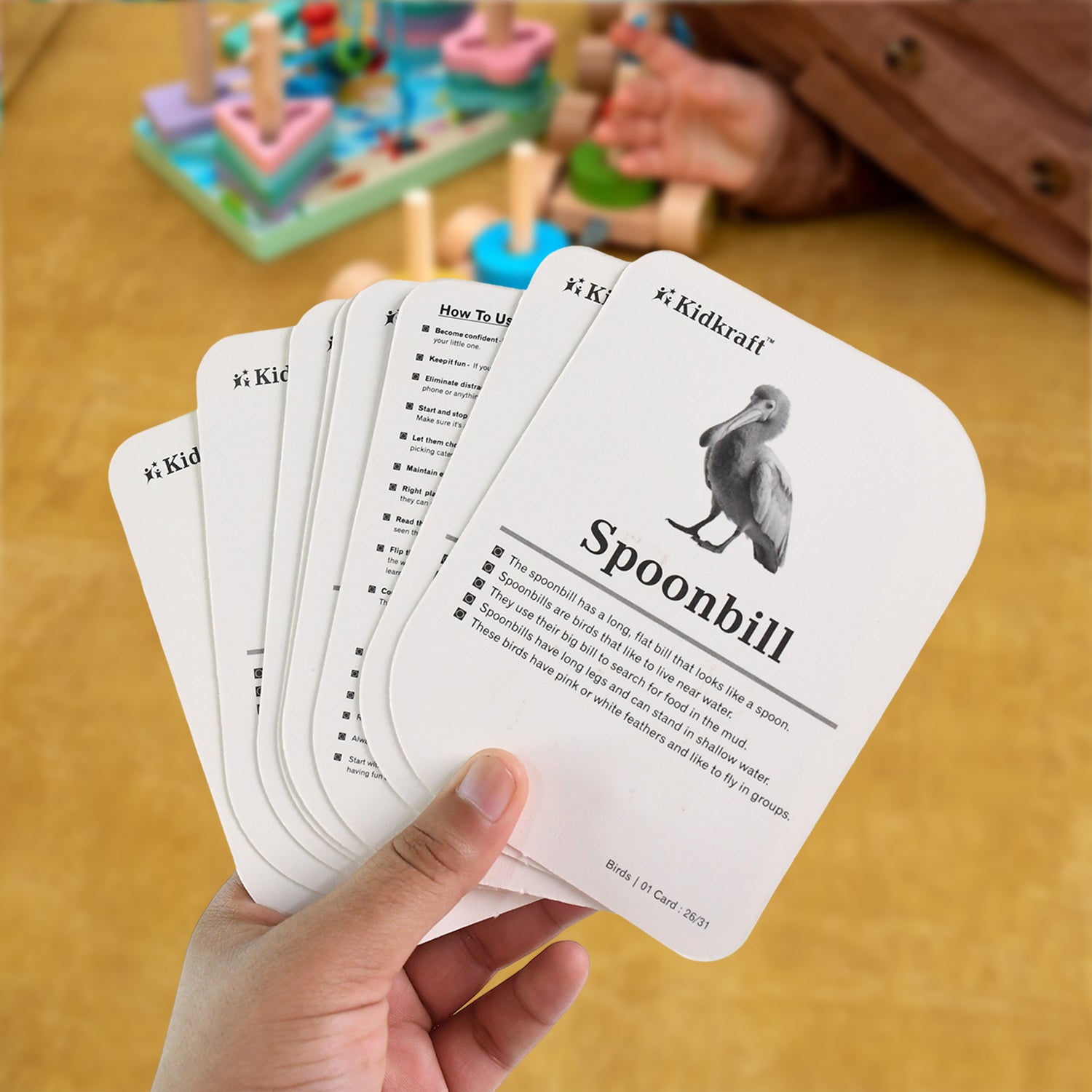 Kidkraft Early Learner Educational Flashcards  32 Birds