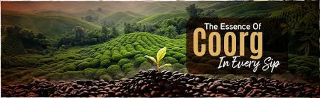 Levista Premium Chicory Mix 80:20 Instant Coffee